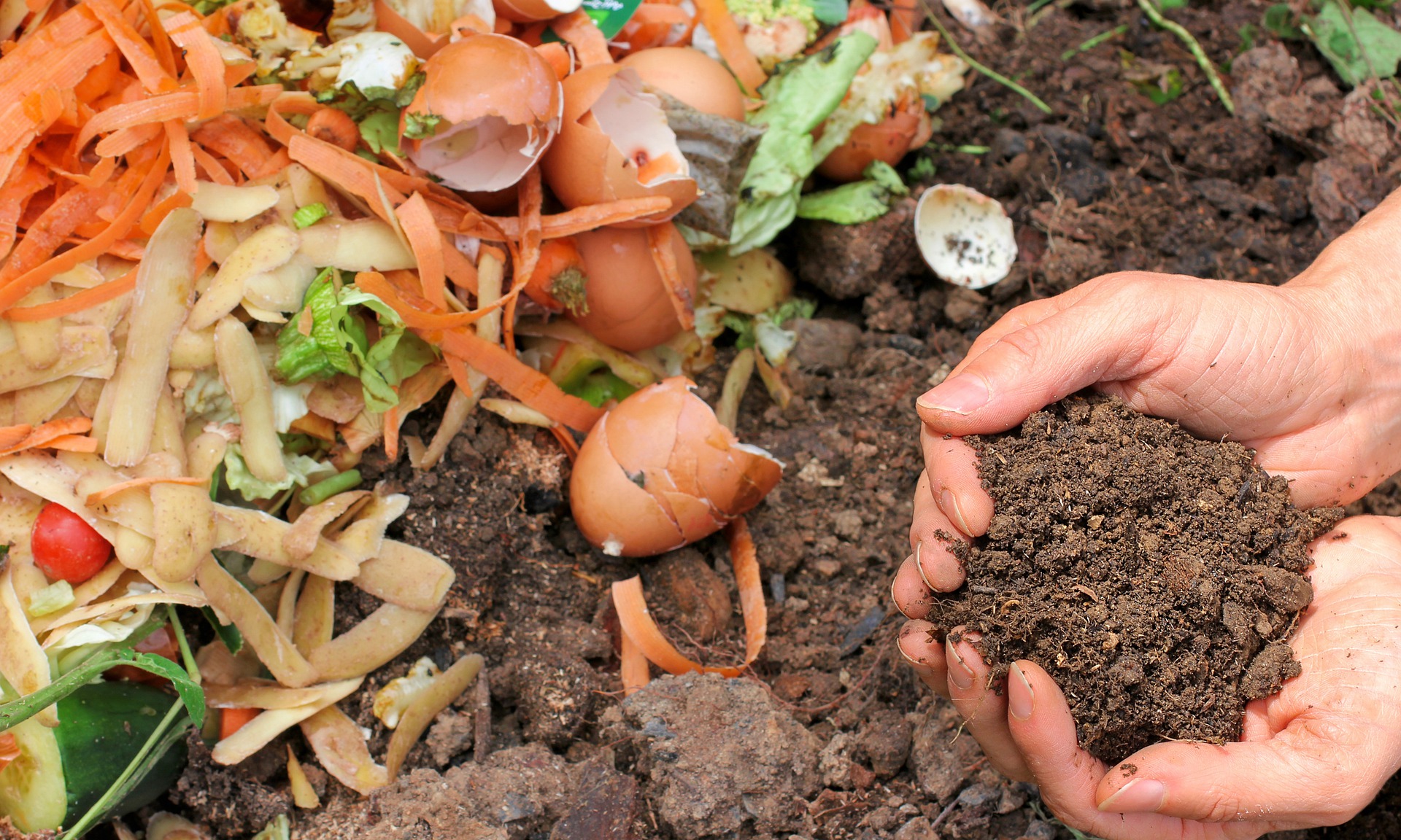 compost-g64c6a84be_1920.jpg